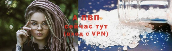 МДПВ Каменка